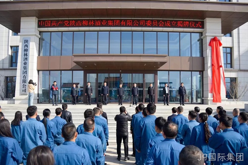 风劲帆满启新程 党建引领谱新篇 |中共J9国际集团委员会成立