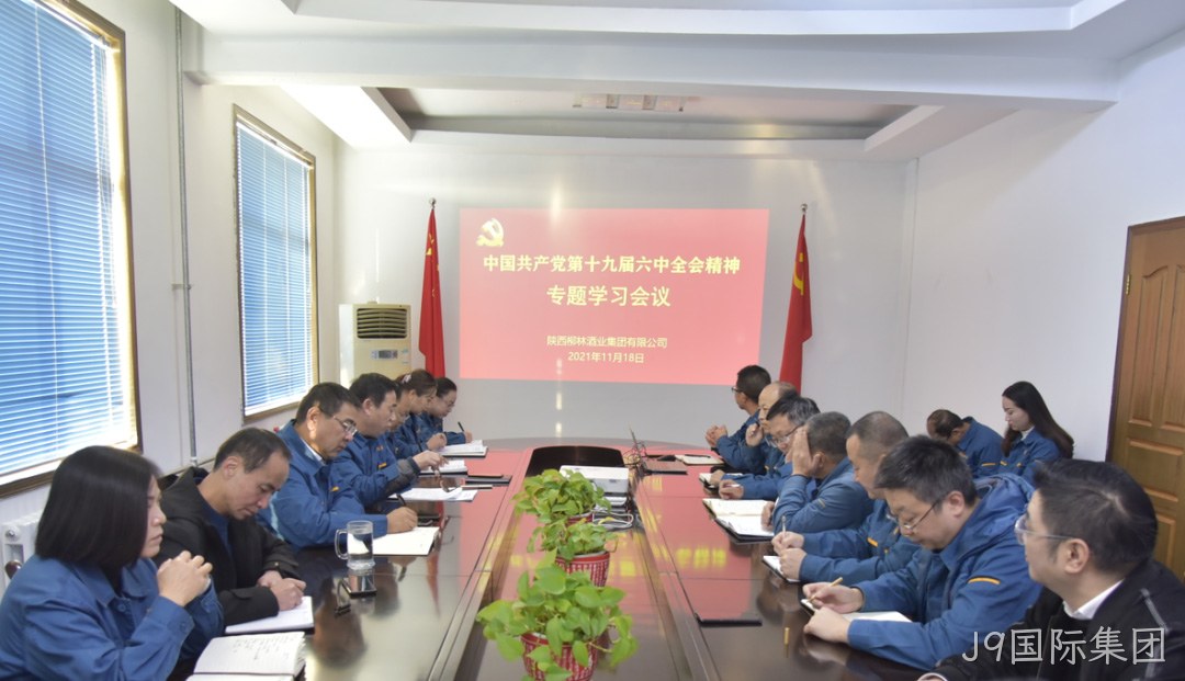 不忘初心跟党走 | J9国际集团学习贯彻党的十九届六中全会精神